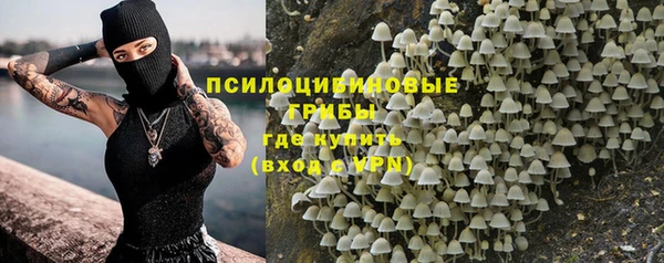 спайс Беломорск