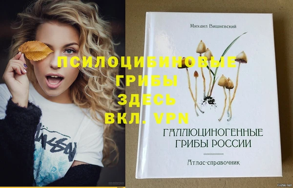 спайс Беломорск