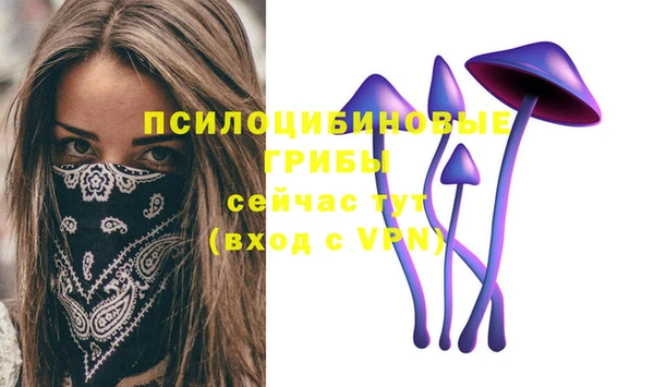 кокаин премиум Белокуриха