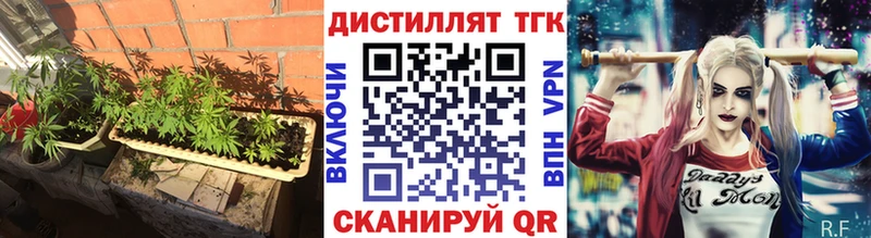 купить закладку Жиздра ТГК вейп